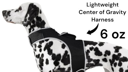 Get Realtime Pet Locations w/ Pet Tracker Mini Cat Dog GPS Tracking Collar Size:XL