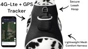 Trace Using Pet Route History w/ Mini Dog Tracker Device + Mobile Apps Size:L