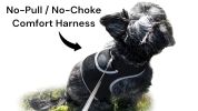Trace Using Pet Route History w/ Mini Dog Tracker Device + Mobile Apps Size:L